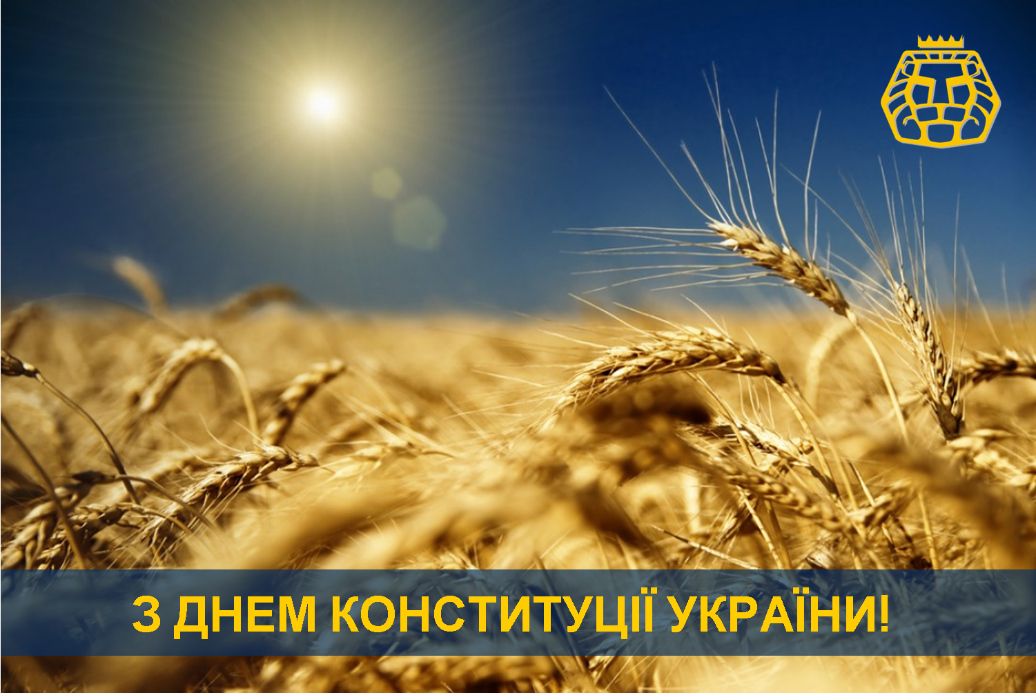 З Днем Конституції конституція, менеджмент, маркетинг