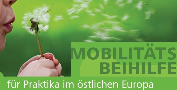 Літня школа Баварія менеджмент, маркетинг, ЛІМ, бакалавр